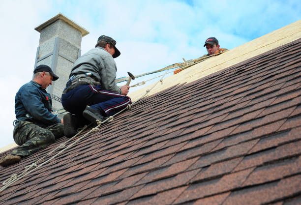 Best Shingle Roofing Installation  in Woodland, CA